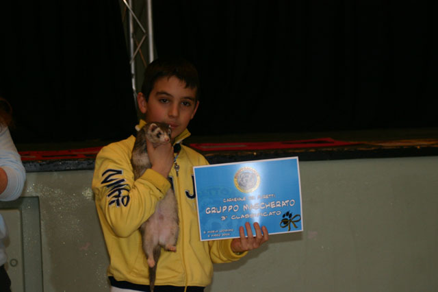 3_gruppi_Aviatori