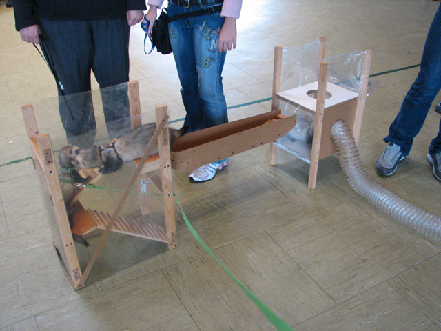 agility doppio