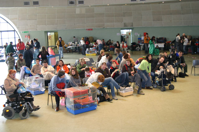 il pubblico