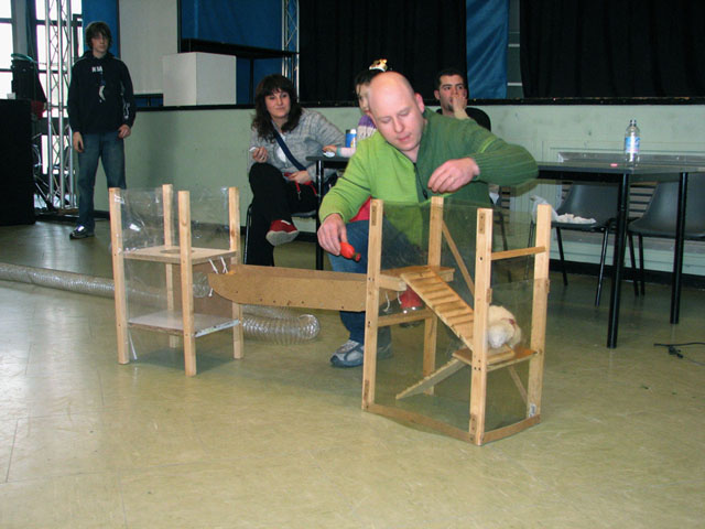 partecipanti alla gara di agility