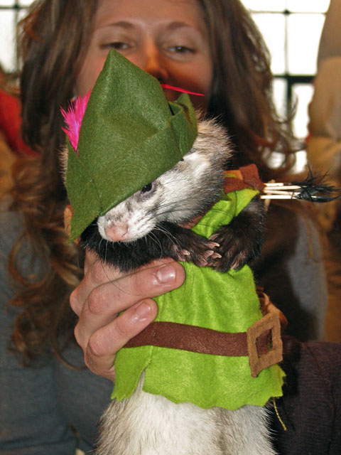 robin hood2