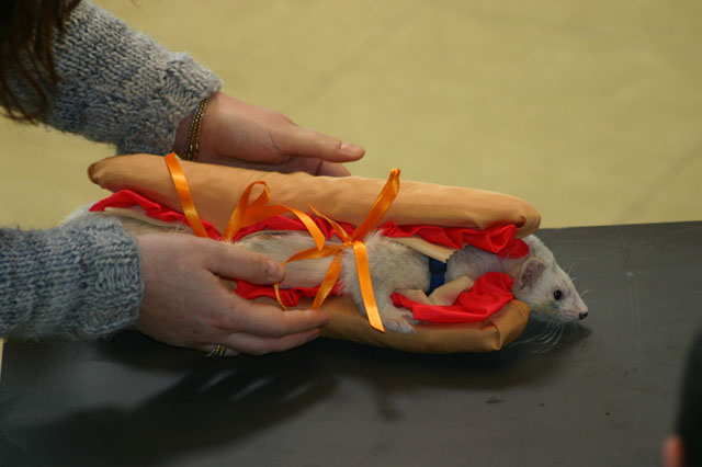 sandwich