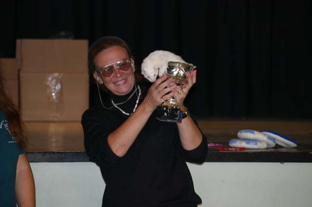 Best in show cuccioloni