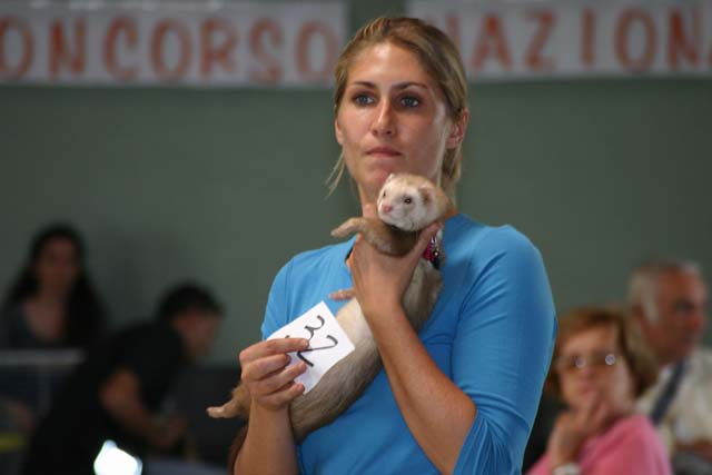 Eloisa e Mirtillo