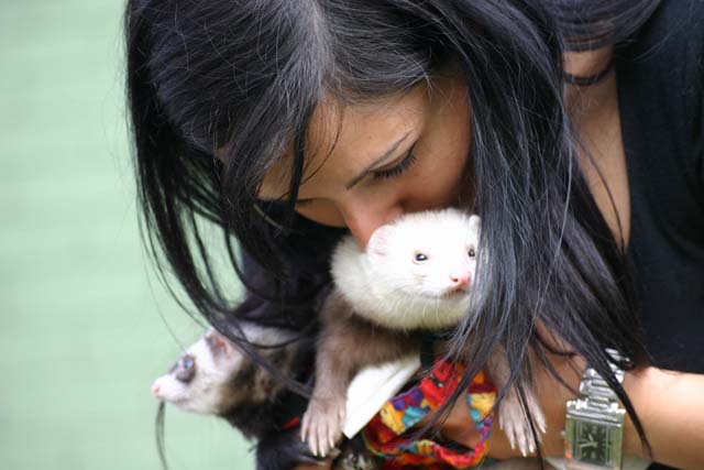 Raffy e i suoi tesori!