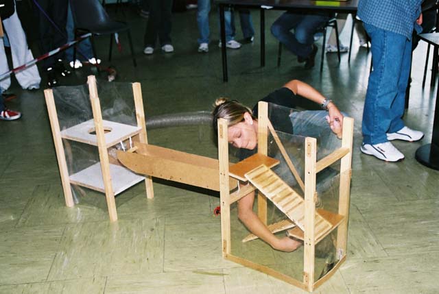 alice impegnata nell'agility