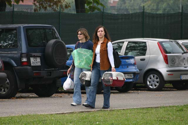 arriviamo anche noi