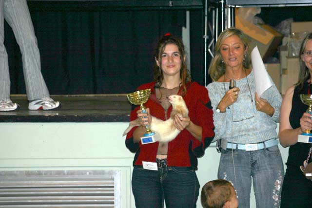 artik campione