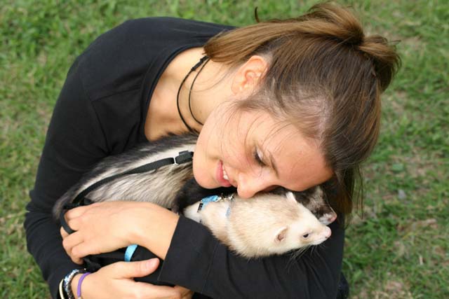 coccole 2