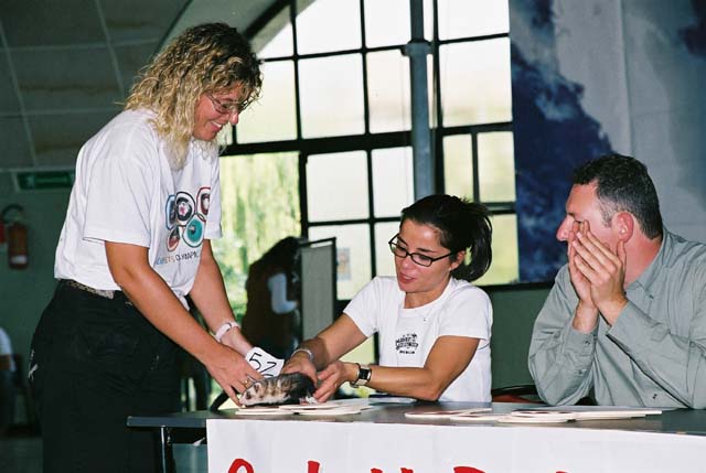 manuela alla giuria